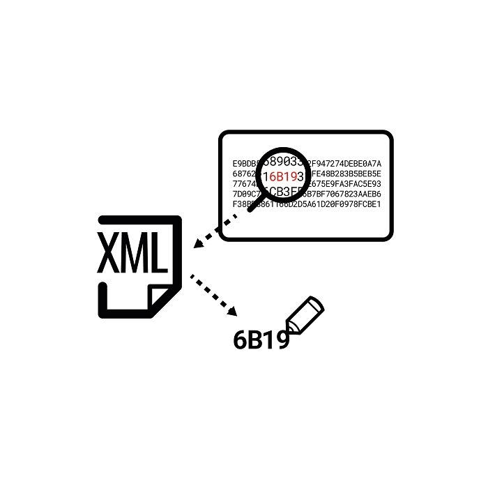 XML Funktion